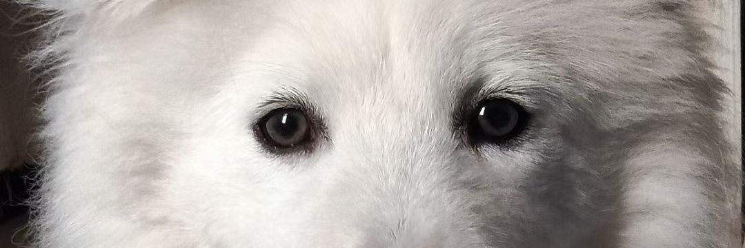 28岁家暴继父's banner