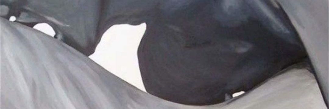 Silent's banner