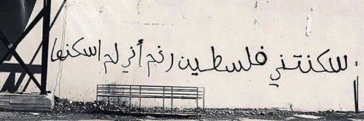 🦂's banner