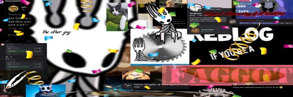 The Woke King's banner