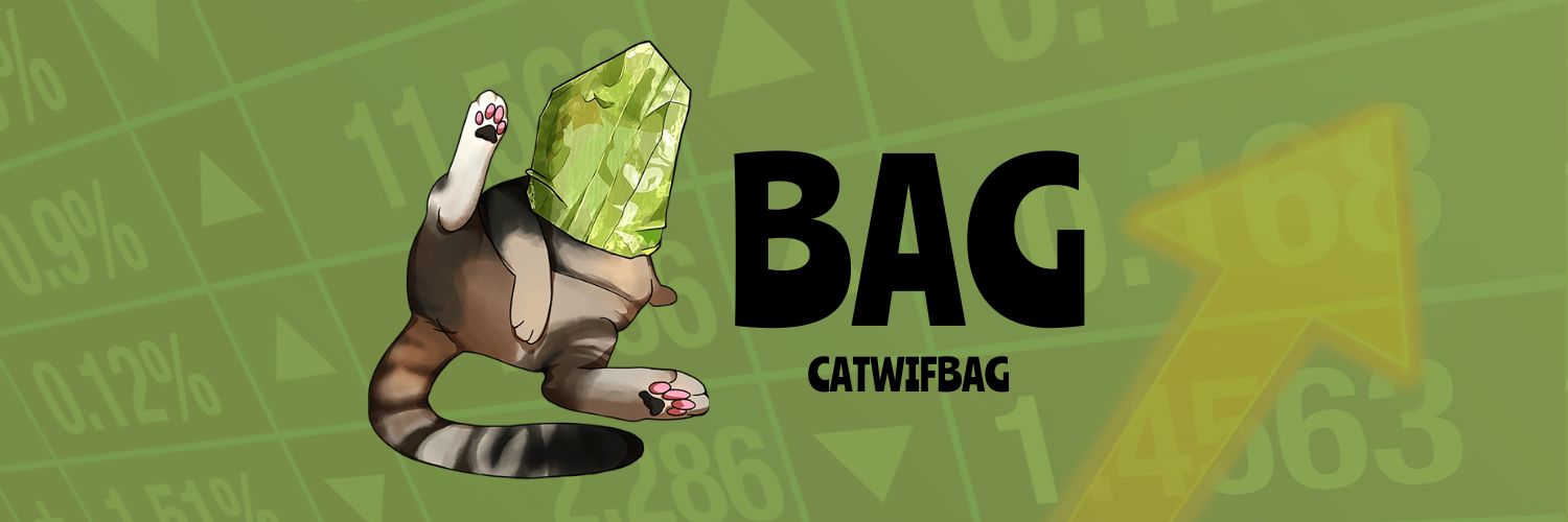 catwifbag's banner