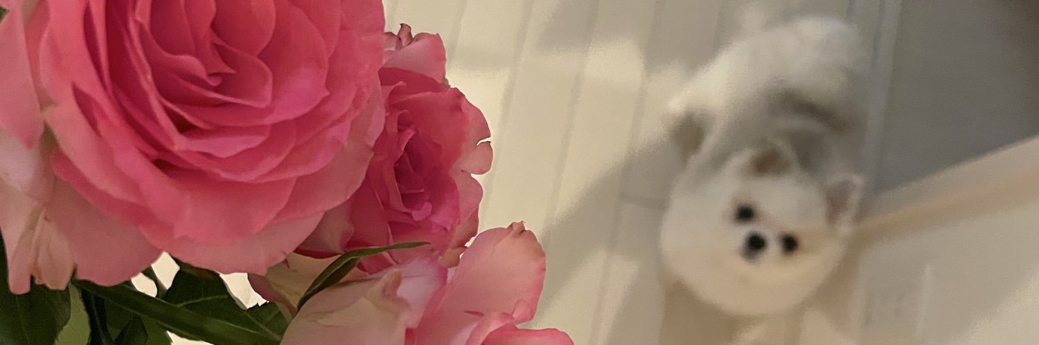 ポメこっとん's banner