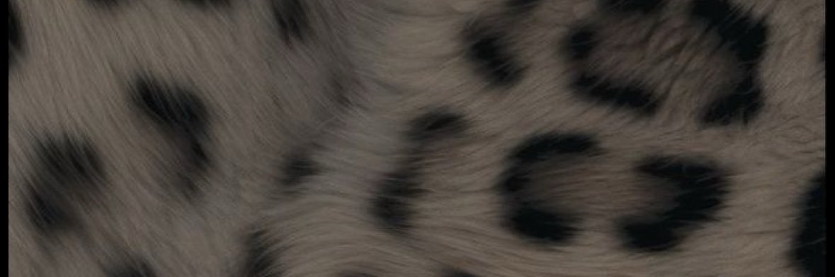 Giusus 🍒🌸's banner