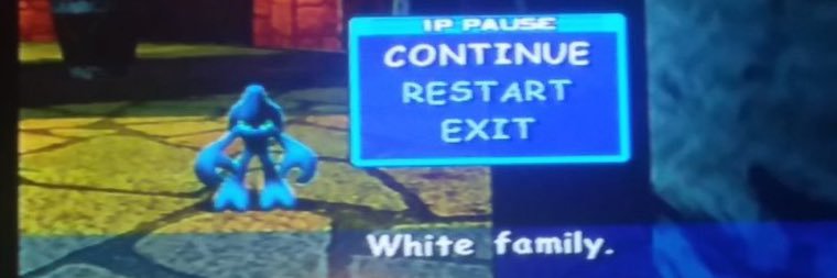 bluie's banner
