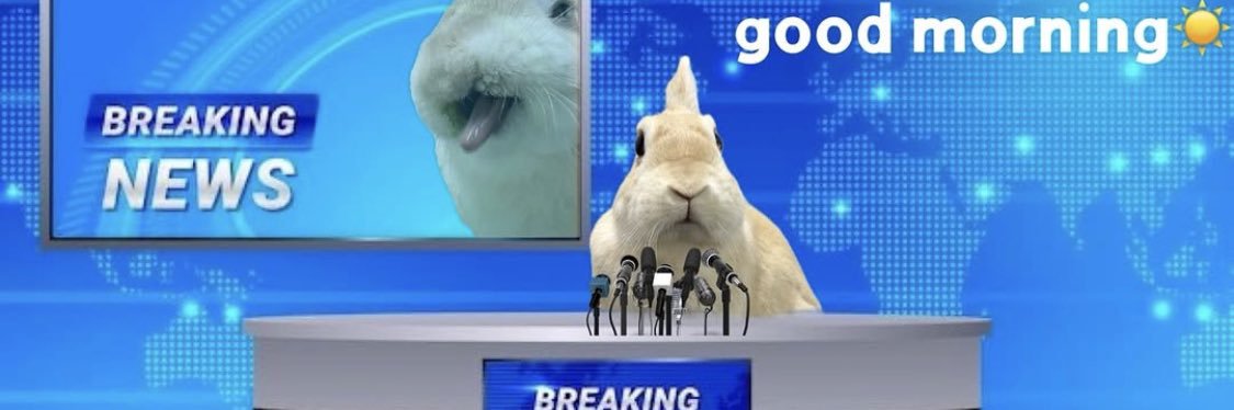 beetleplexx's banner