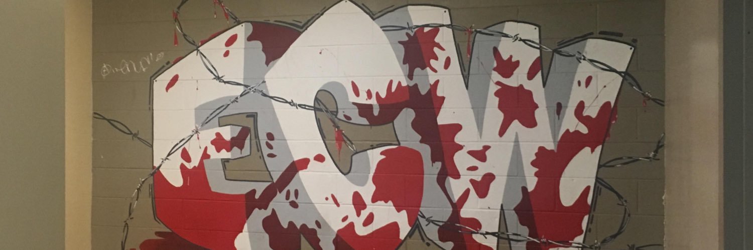 History of ECW's banner
