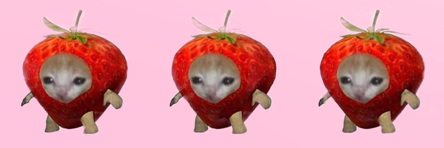 kitty🌱😼's banner