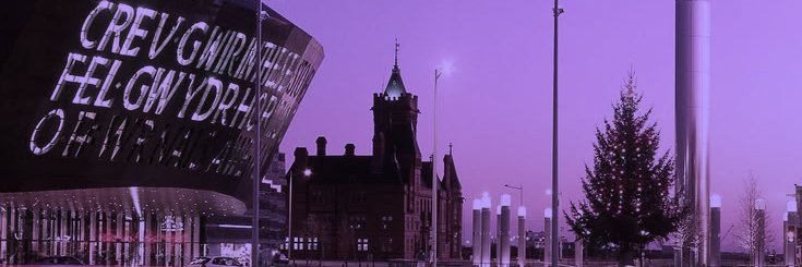 zel🪻♡︎'s banner