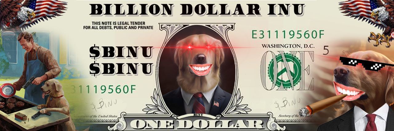Binu coin's banner