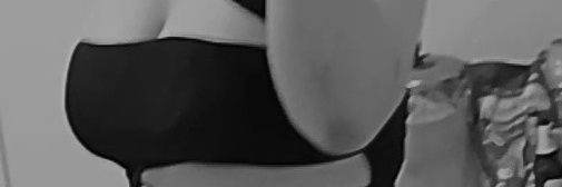 lada's banner