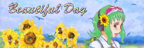 yrt_moth🥕's banner