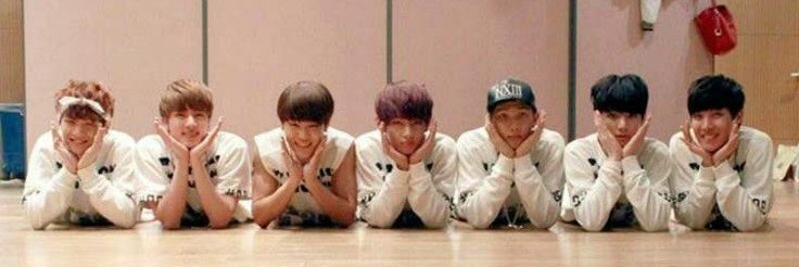 Honey⋆.🐝's banner