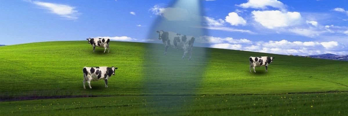 ?'s banner