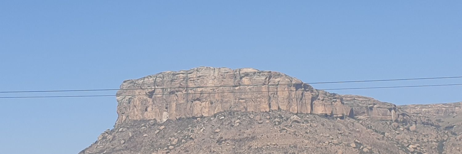 T's banner