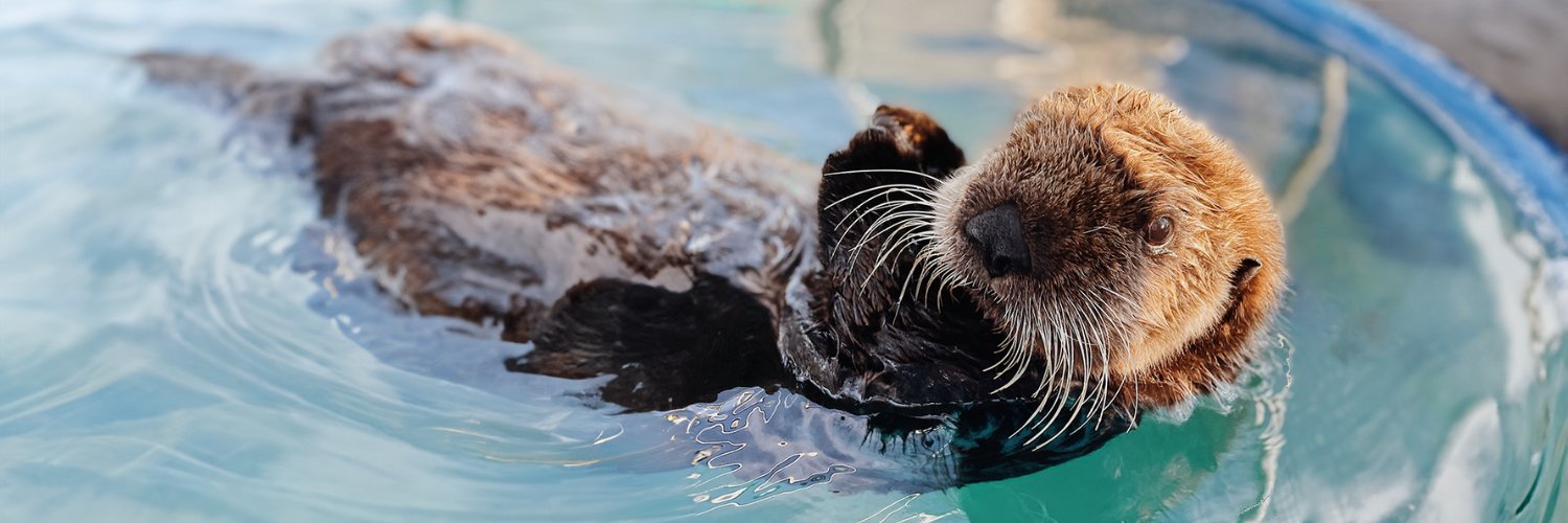 VA Marine Mammal Rescue Society's banner
