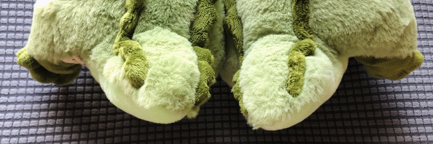 たたたた🐊ワーリーとビブ's banner