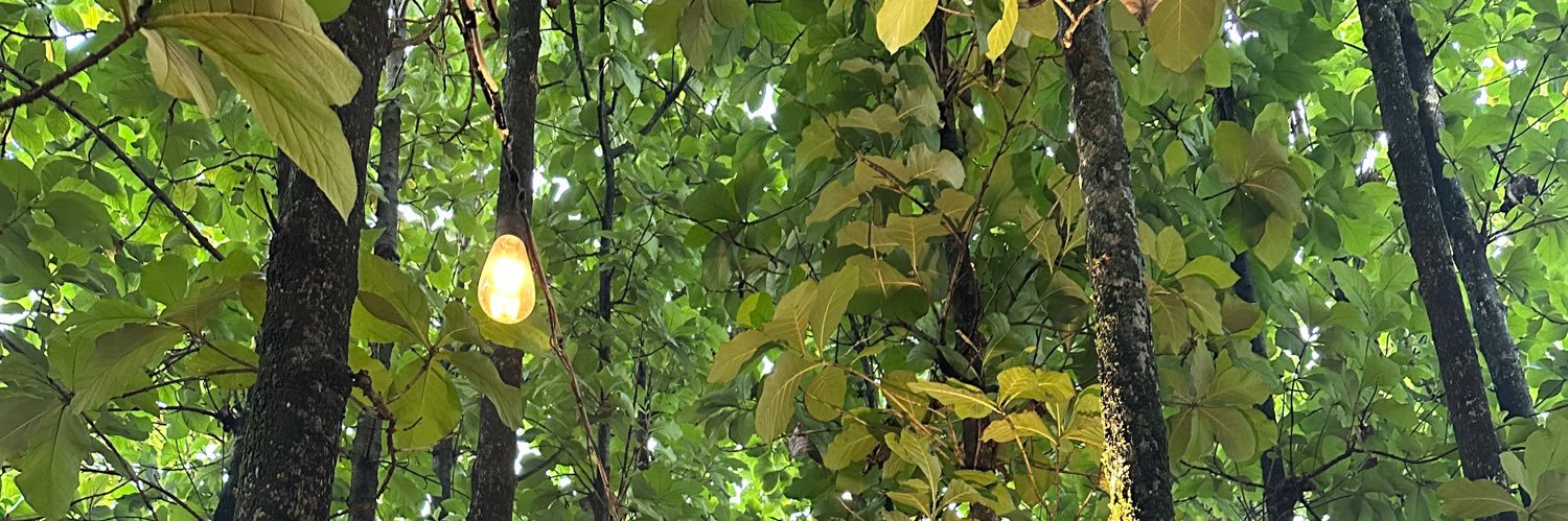 re's banner