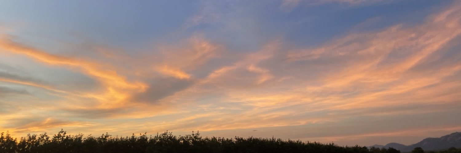 sxiknixs's banner