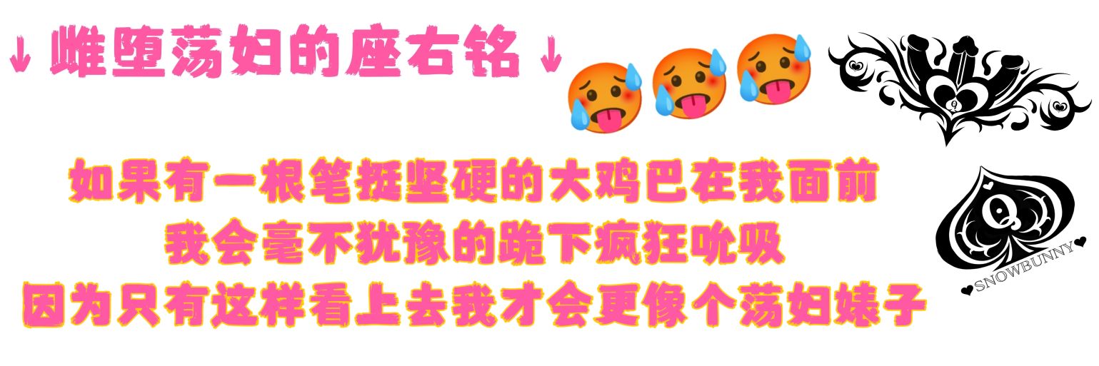 柒了个宝（投稿版）'s banner