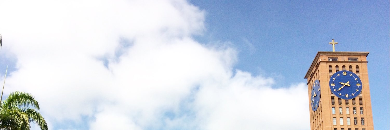 Rodrigo Wirth's banner
