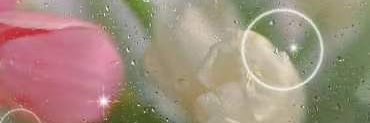 胡蔚's banner