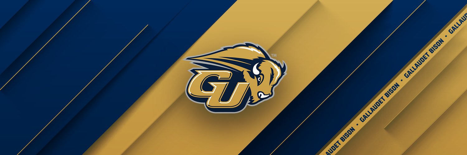Gallaudet Bison's banner