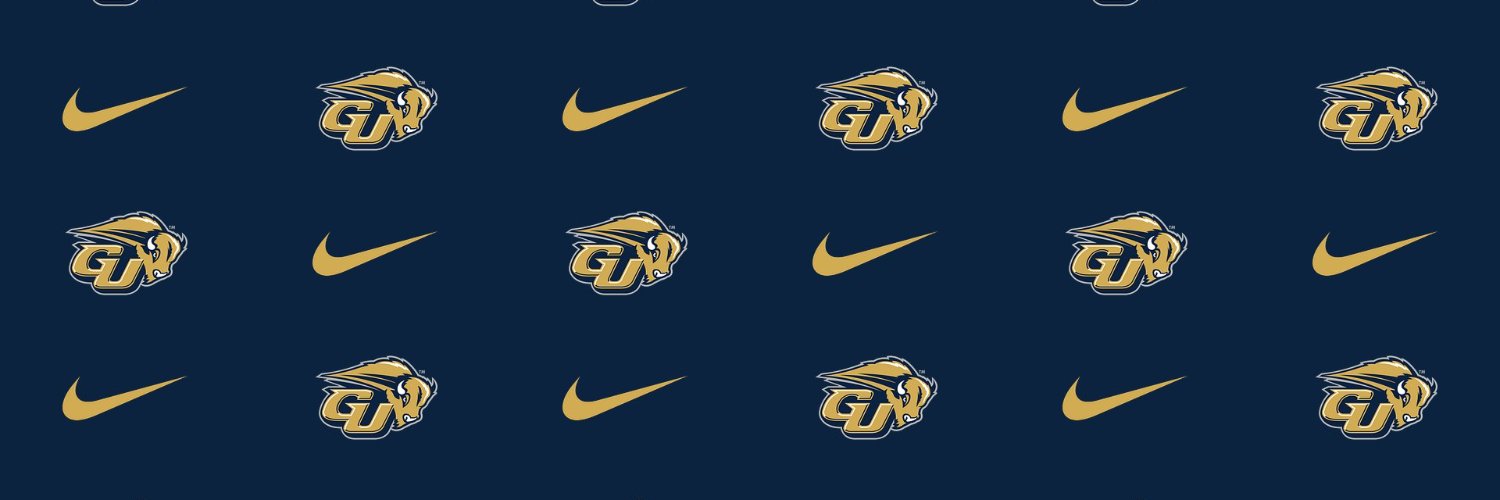 Gallaudet Bison's banner