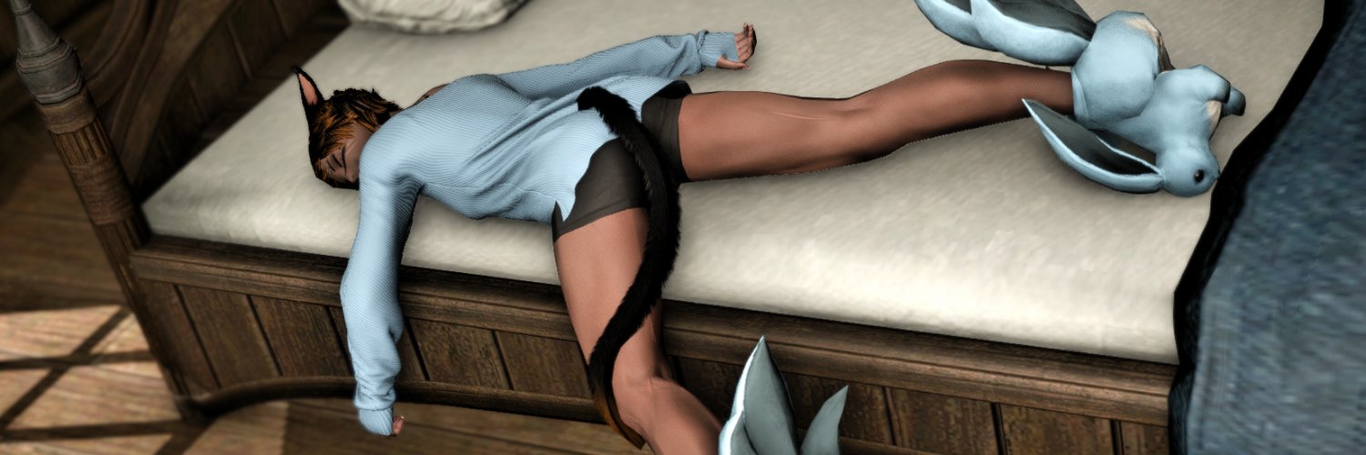 Catte Next Door's banner