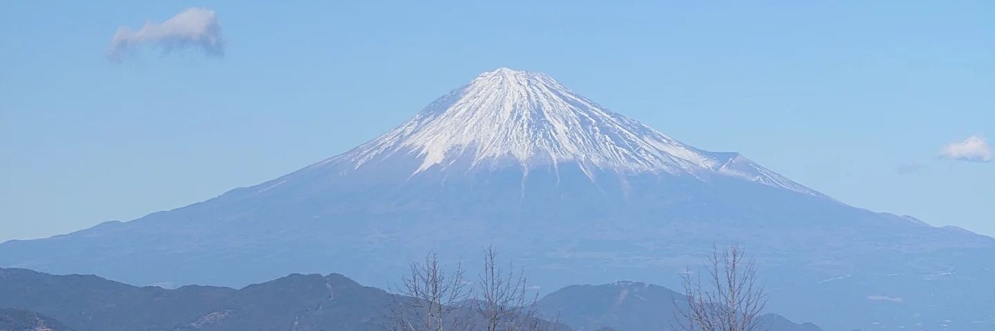 山崎行政書士事務所's banner