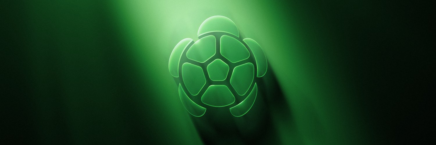 Turtle's banner