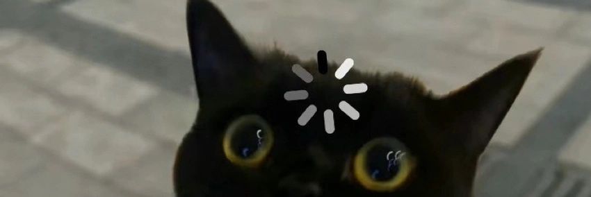 猫猪's banner