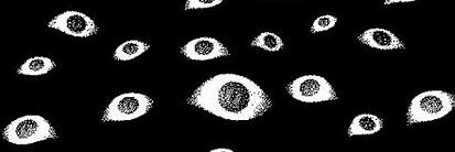 𓁹𓁹's banner