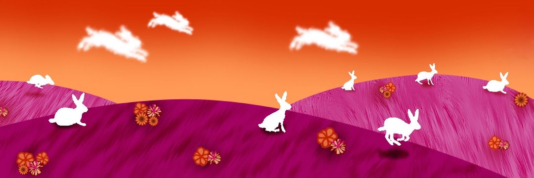iris 🏳️‍⚧️'s banner