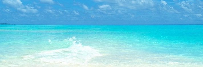 暴富财阀's banner