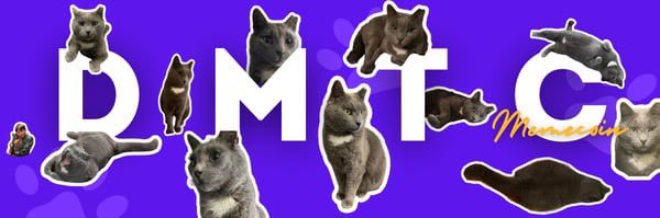 Diamond The Cat Coin's banner
