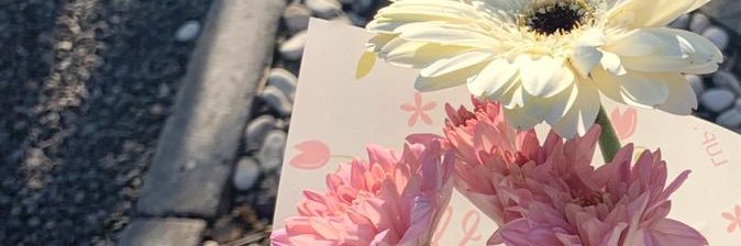jajaii's banner
