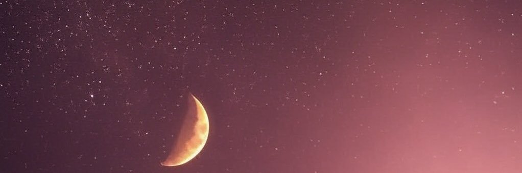 月亮🌙Moon's banner