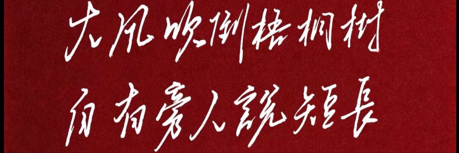 袁本初's banner