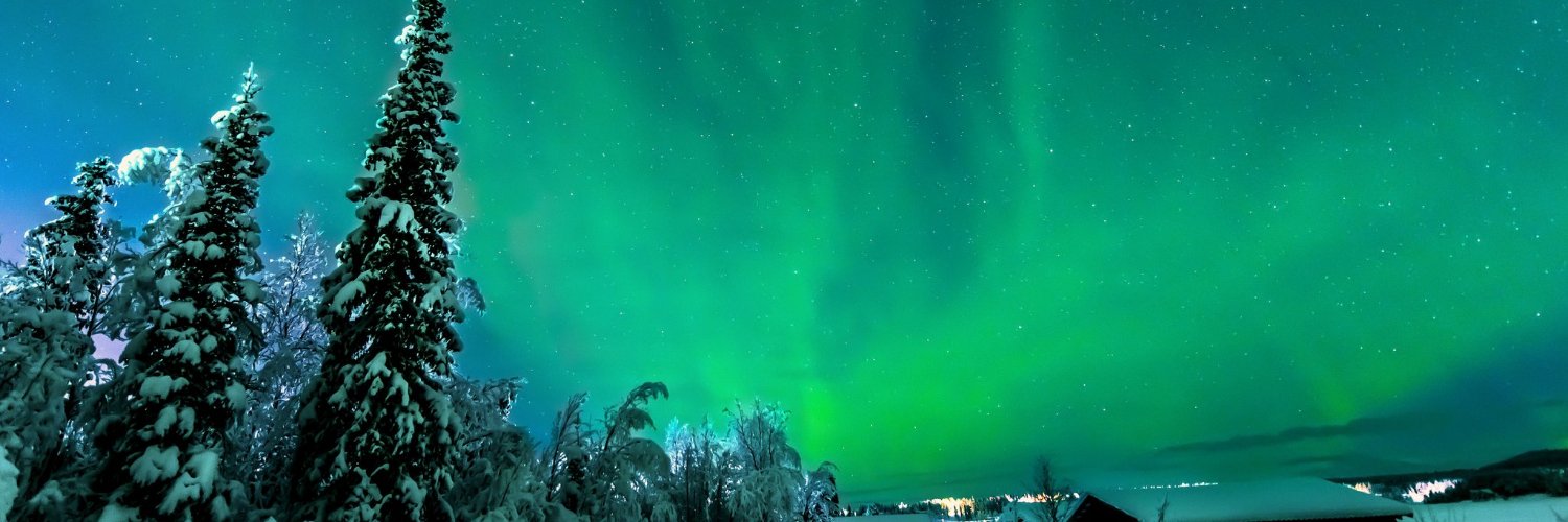 NordicGirls🌲's banner