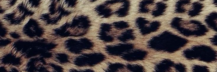 𝓰𝓮𝓷𝓮𝓼𝓲𝓼✮𐙚's banner