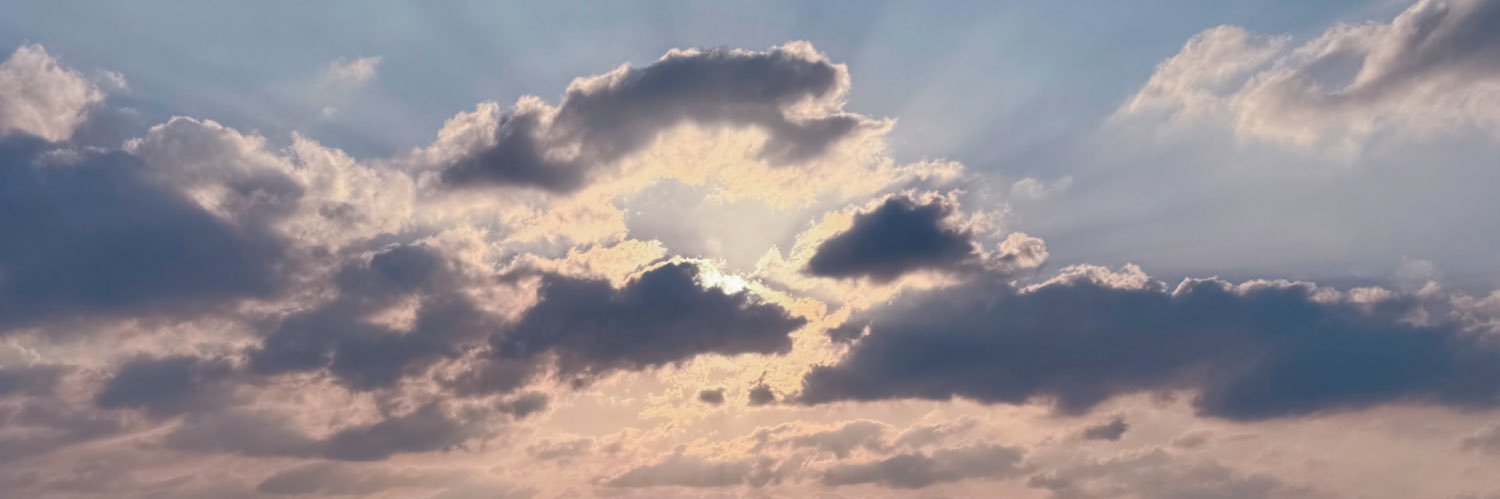 跳兎-とと🐣🐰's banner