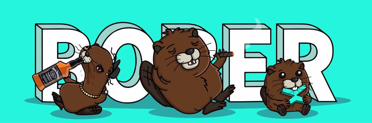 BOBER's banner