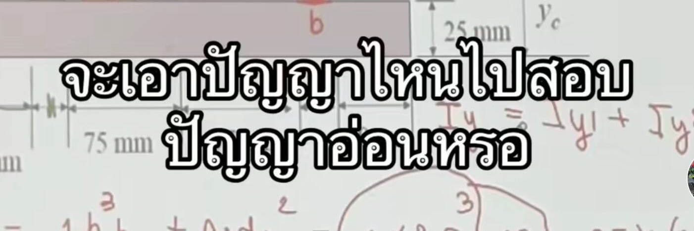 lielieneverdie's banner