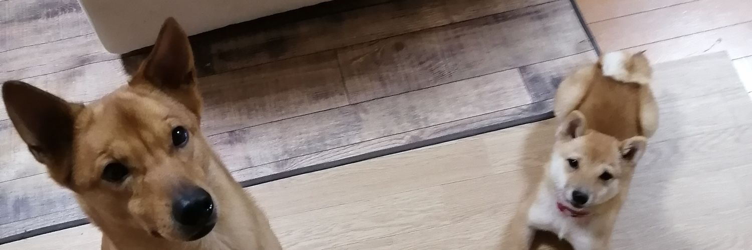 らんまる&いろは's banner