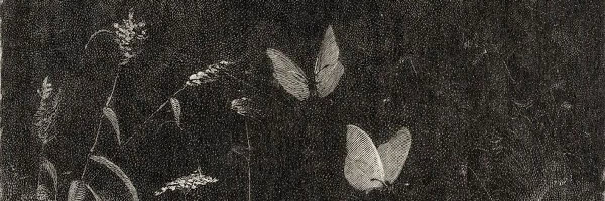 kit ⋆˚࿔'s banner