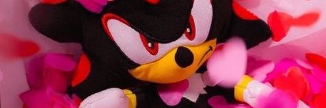 -valentinescookies- 💜's banner