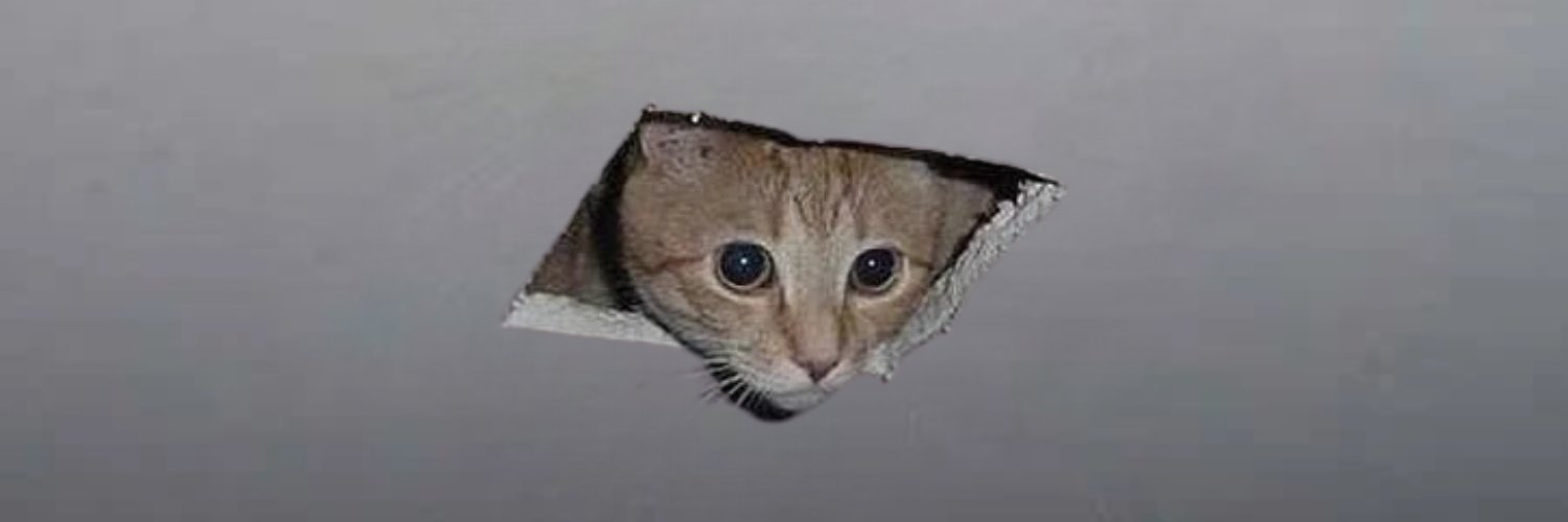 Ceiling Cat's banner