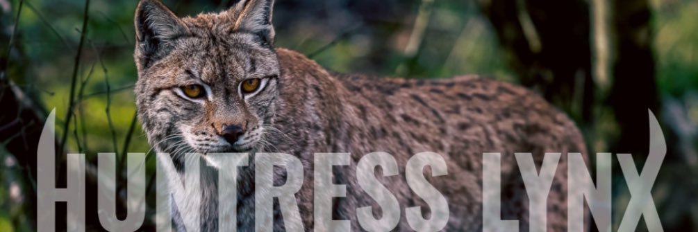 HuntressLynx 🐍👹's banner