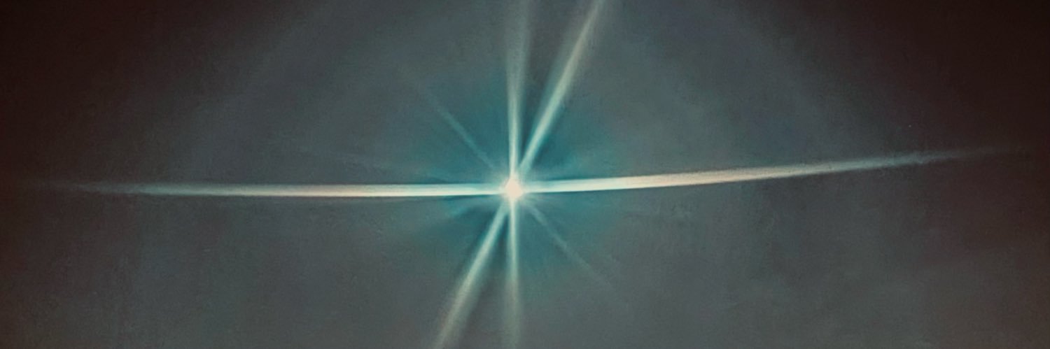 Cindy SantAngelo's banner