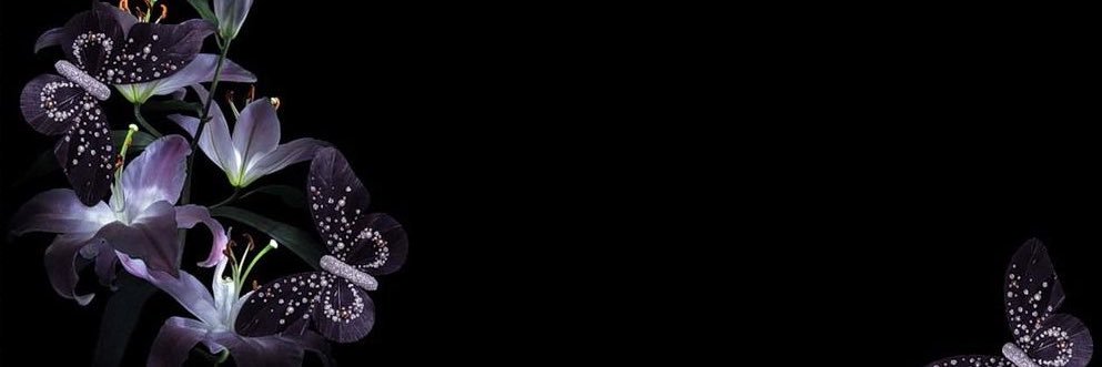 iero ☆☆ hiatus's banner